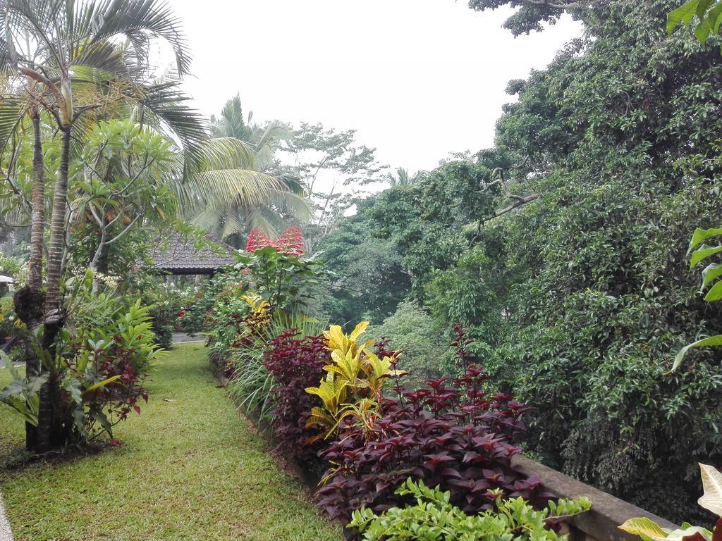 Villa Alam Surya Ubud Экстерьер фото