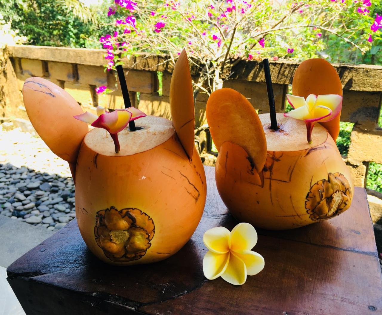 Villa Alam Surya Ubud Экстерьер фото